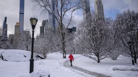 Central Park sous la neige le 7 janvier 2022 à New York