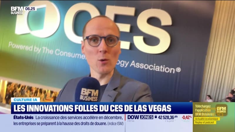 Culture IA : Les innovations folles du CES de Las Vegas, par Anthony Morel - 08/01