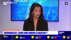 Tropicalia: Karima Delli, candidate EELV aux régionales, estime que ce projet est "une aberration"