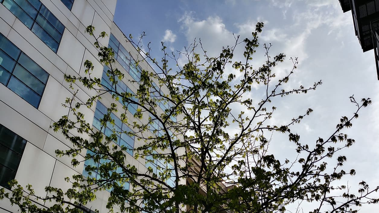 Une scène prise avec le capteur classique du LG G6. Une scène prise avec le capteur classique du LG G6.