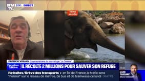 Le choix de Marie - Un refuge animalier sauvé après avoir reçu 2 millions d'euros de don