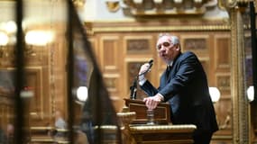 François Bayrou au Sénat, à Paris, le 15 janvier 2025