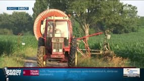 Illustration - Les agriculteurs pourraient être les gagnants de ce nouveau régime de retraite