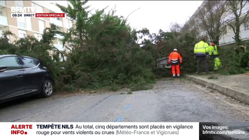 Tempête Nils: "Pour les crues, c'est légèrement inférieur à ce qu'on avait prévu", affirme Bruno André, préfet du Lot-et-Garonne