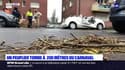 Vents violents: un arbre tombe sur deux voitures à quelques mètres du carnaval de Dunkerque
