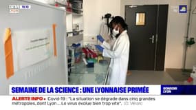 Les chauves-souris résistantes aux virus : la chercheuse lyonnais Stéphanie Jacquet primée