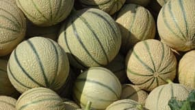 Des melons (photo d'illustration).