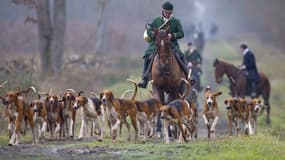 Une scène de chasse à courre - Image d'illustration 