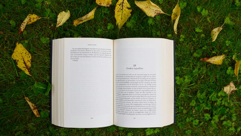 3 thrillers de Freida McFadden à lire avant la sortie de son prochain livre