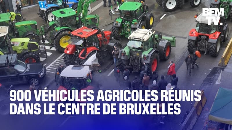 900 véhicules agricoles réunis dans le centre de Bruxelles en marge d'une réunion des ministres européens de l'Agriculture