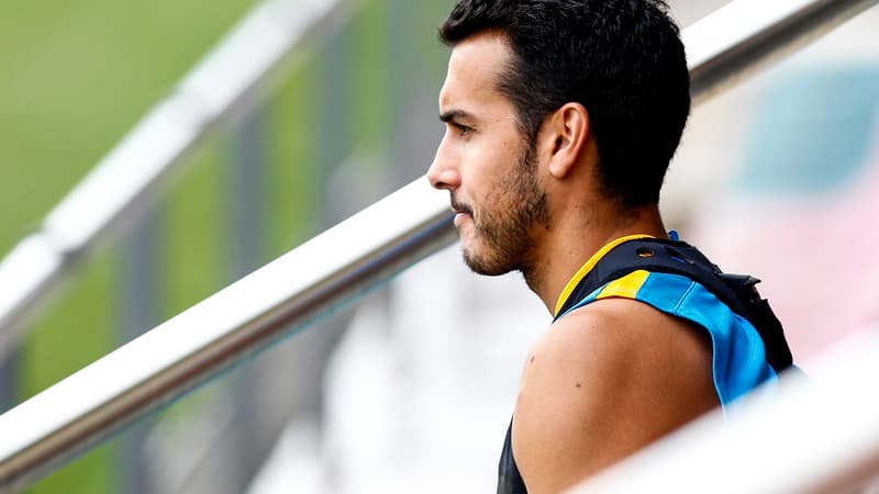 Pedro