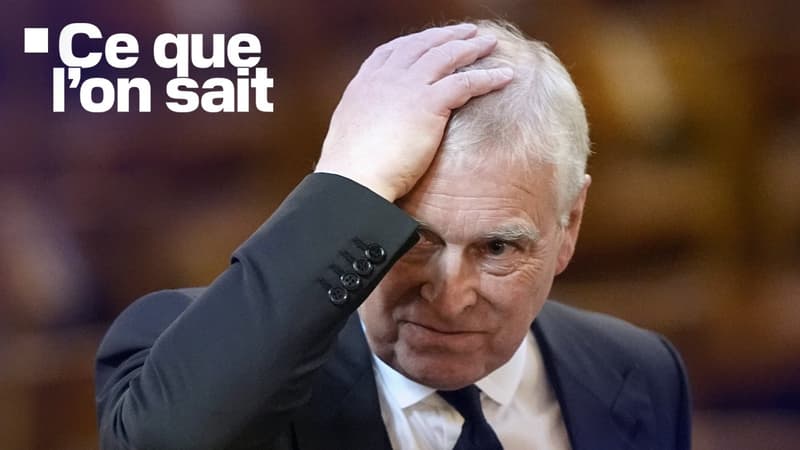 Perquisitions, garde à vue: ce que l'on sait de l'arrestation de l'ex-prince Andrew