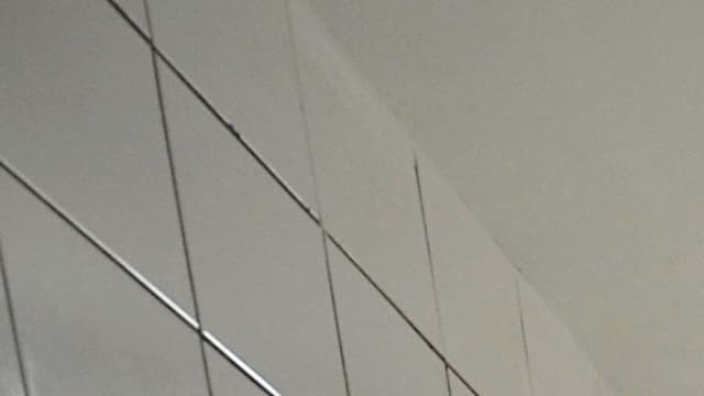Un détenu porte plainte à cause de la présence de rats dans la prison de Sequedin. (Photo d'illustration)