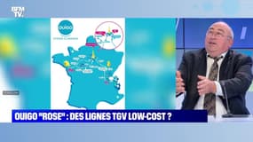 Ouigo "rose" : des lignes TGV low cost ? - 24/09
