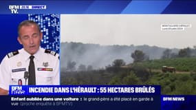 Hérault : le feu toujours pas maîtrisé - 29/07