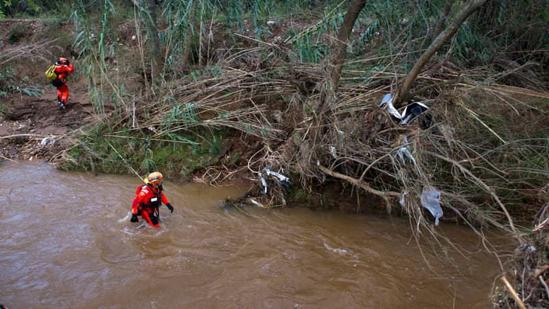 Les pompiers à la recherche d'une personne disparue à La-Londe-les-Maures, dans le Var, le 28 novembre 2014.