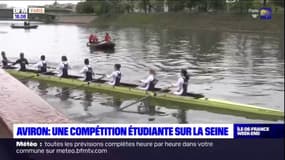 Aviron: une compétition étudiante sur la Seine