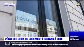 Comment se porte le logement étudiant à Lille? 