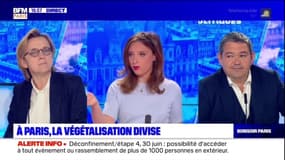 Paris: les maires du 5e et du 13e favorables à davantage de végétalisation