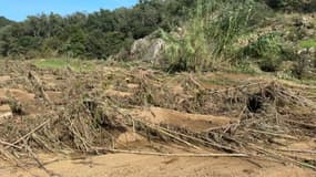 Une exploitation viticole de La Garde-Freinet (Var) touchée par les inondations le 27 octobre 2024.
