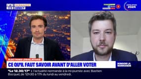 Élections législatives: ce qu"il faut savoir avant d'aller voter