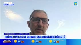Rhône : un cas de dermatose nodulaire détecté