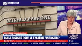 Sylvie Goulard (Sous-gouverneure de la Banque de France) : Quels risques pour le système financier ? - 07/01