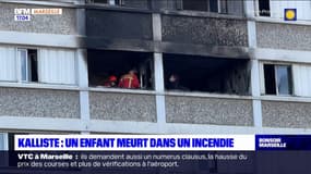 Marseille: un enfant tué dans l'incendie d'un immeuble du parc Kalliste, 11 personnes hospitalisées