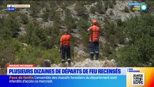 Risque incendie : Plusieurs dizaines de départs de feu recensés 