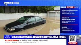 "Ma voiture est bonne à être jetée": cet habitant constate les dégâts, après les inondations en Moselle