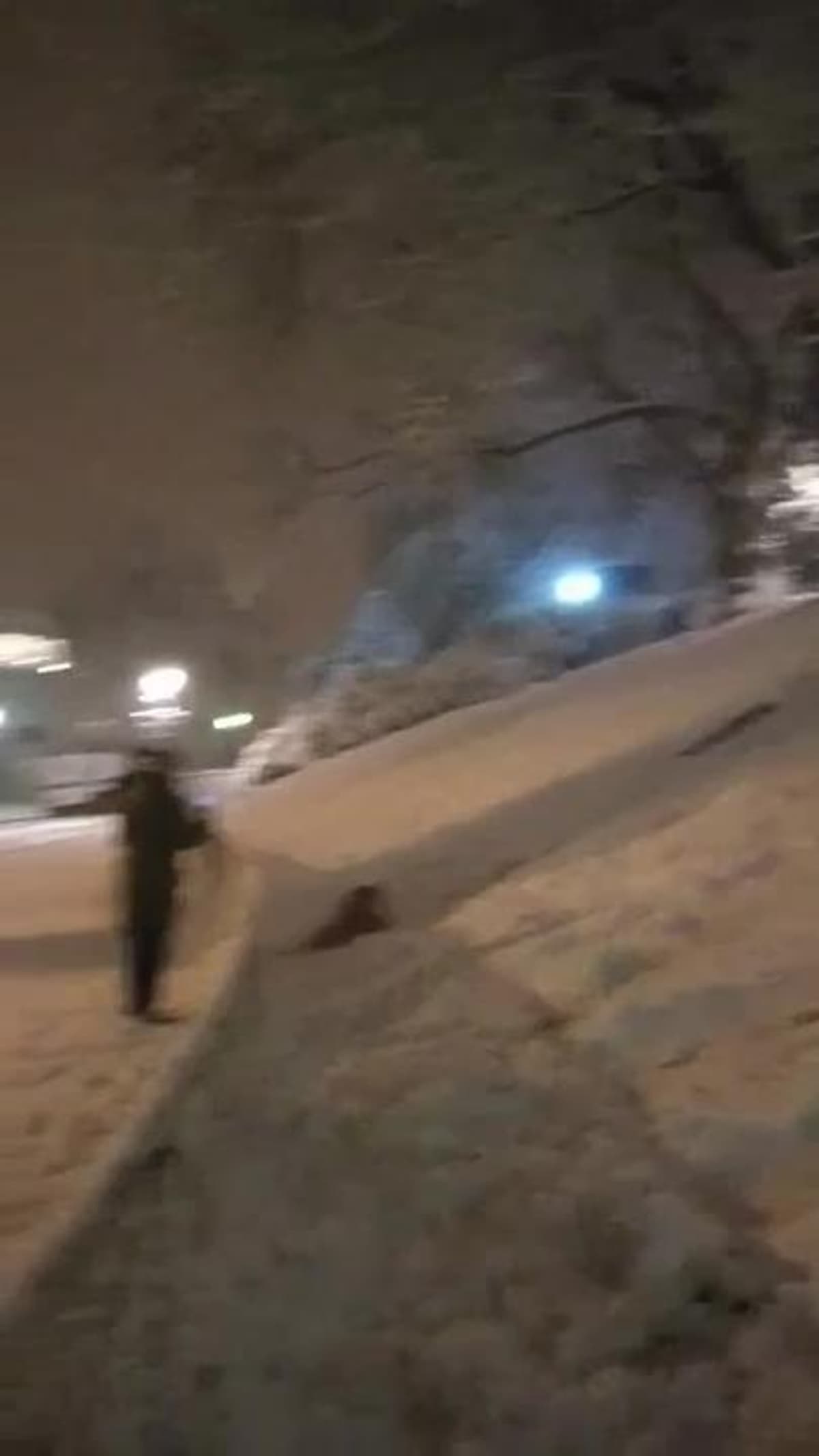 placeholder video