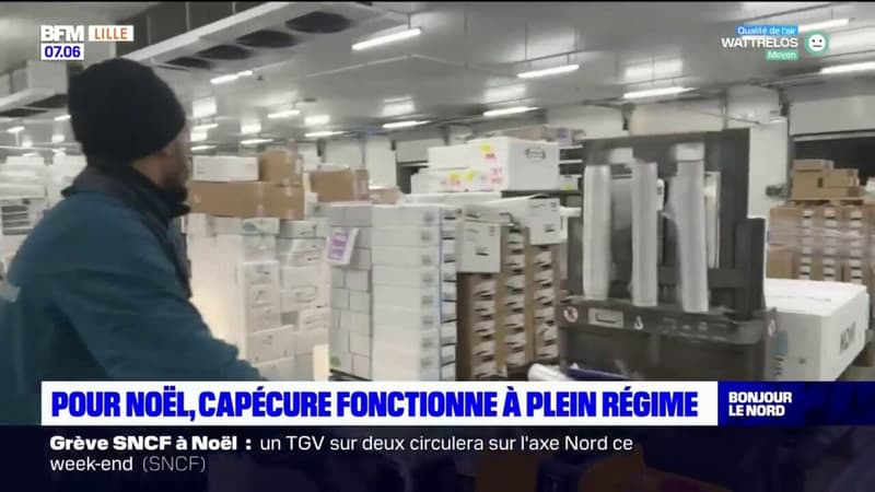 Boulogne-sur-Mer: pour Noël, Capécure fonctionne à plein régime