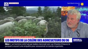 Colère des agriculteurs: "On demande à ce qu'on nous laisse travailler pour  gagner notre vie"