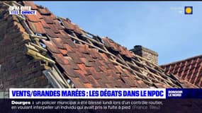 Nord-Pas-de-Calais: après le passage de la tempête Pierrick, l'heure d'évaluer les dégâts