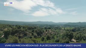 Vivre les parcs en Région Sud : à la découverte de la Sainte-Baume