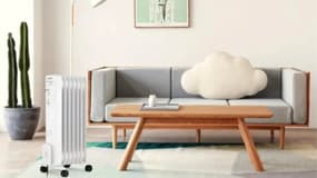 Difficile de trouver un prix plus attractif que celui-ci sur un chauffage électrique économique 