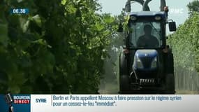 Interdiction du Glyphosate: selon Greenpeace, "Le gouvernement se moque du monde en revenant sur cette promesse"