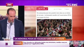 On n'a pas osé vous en parler : Un mémorial pour les volailles tuées sur la route - 08/12
