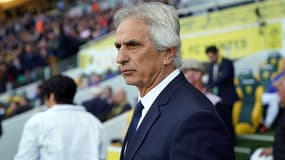 Halilhodzic