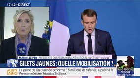 Crise des gilets jaunes: "Plus aucun Français ne comprend où va le gouvernement", Marine Le Pen