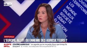 Mercosur: "L'élevage français peut mourir en France", estime Sarah Knafo, eurodéputée "Reconquête"