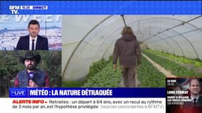 Météo : la nature détraquée - 08/01