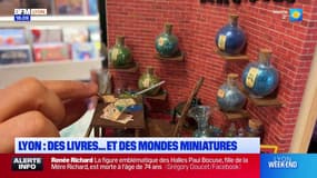 Lyon: une librairie expose des univers littéraires miniatures