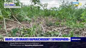 À Barcelonnette, "les orages rafraîchissent l'atmosphère"