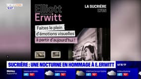 Lyon: une nocturne en hommage à Elliott Erwitt à la Sucrière
