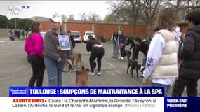 Une enquête judiciaire ouverte après des soupçons de maltraitance à la SPA de Toulouse
