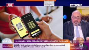 La nouvelle appli de paiement Wero, débarque en France
