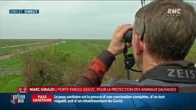 Le Conseil d'Etat interdit les chasses traditionnelles d'oiseaux