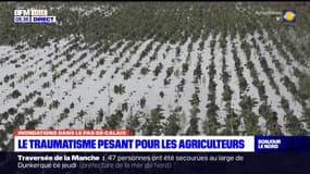 Inondations dans le Pas-de-Calais: le traumatisme vécu par les agriculteurs