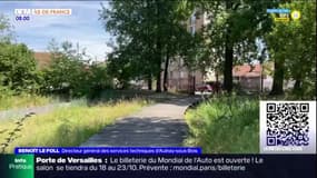Seine-Saint-Denis: les mairies armées face à la sécheresse